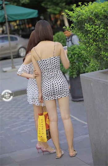 psd-408种子下载