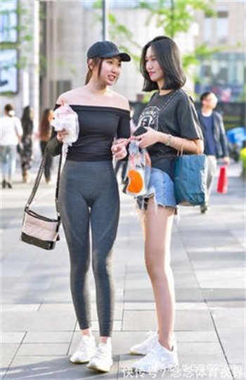 知雁归的小说