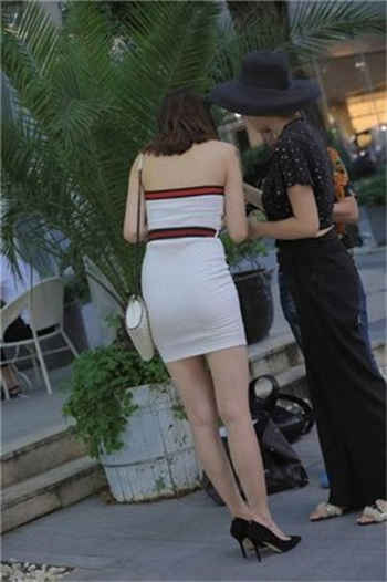 一只樱酱男友