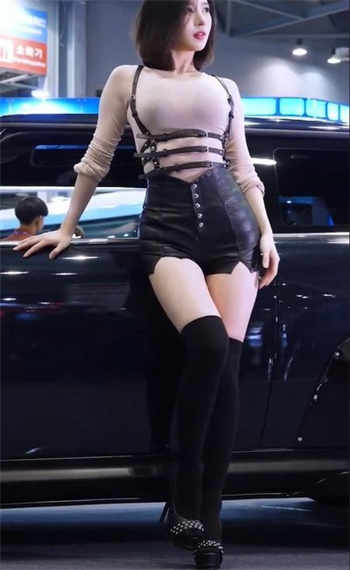 pr九尾天狐软件
