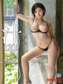 twitter国际版app